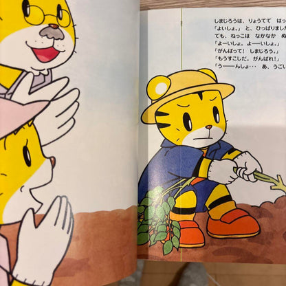 Tsutae Ai Ehon 3 Volumes 2-3 Year Old Pocetto Bessie Kodo Charenji