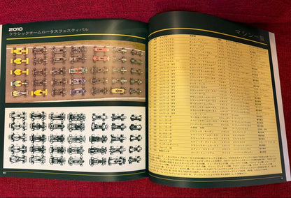 Team Lotus The Formula1 Cars