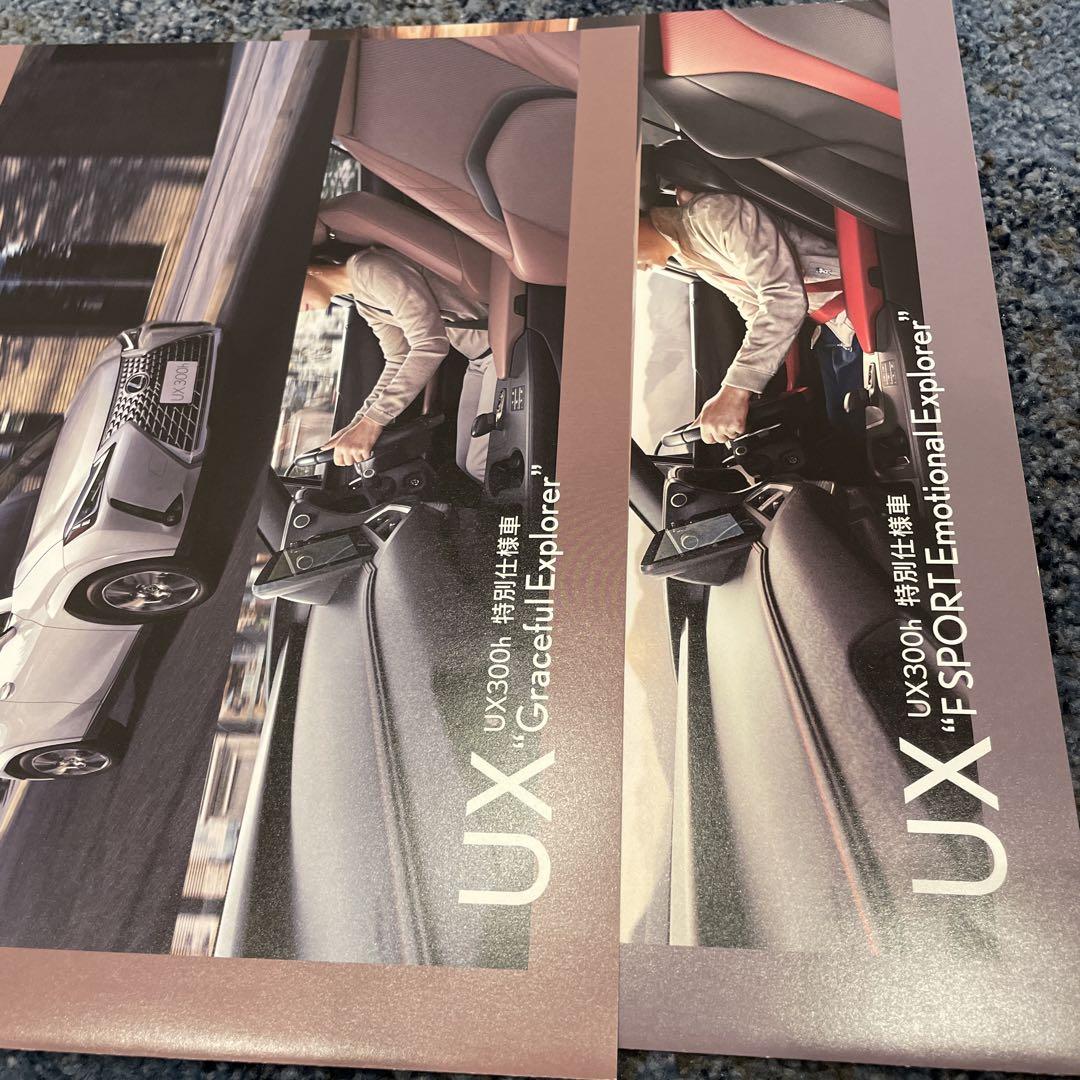 Lexus UX300h/UX300e Catalog Manual