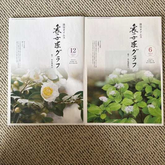 Tanoshii Time's Back Issue 2021 Vol. 12 & 6