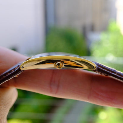 Brown Leather Automatic Analog Watch