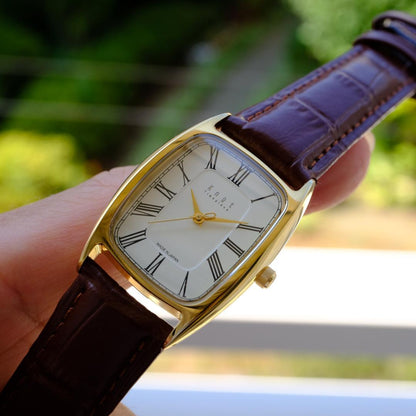 Brown Leather Automatic Analog Watch