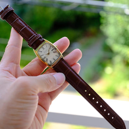 Brown Leather Automatic Analog Watch