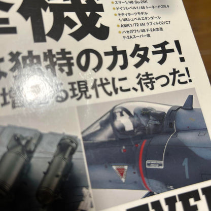 Model Art January 2018