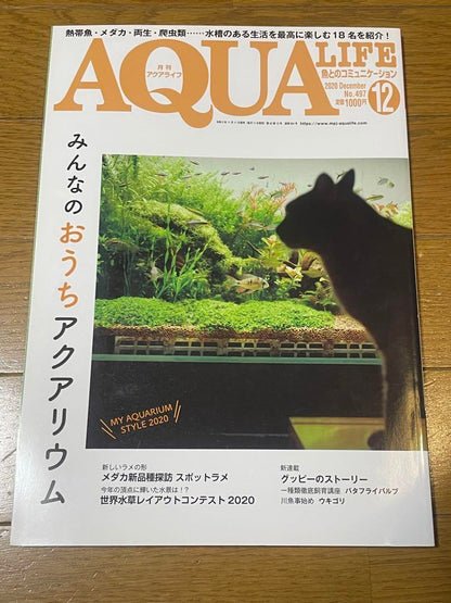 Aqua Life December 2020