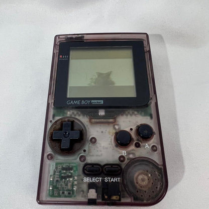Action confirmed GAME BOY Pocket Clear Purple Body
