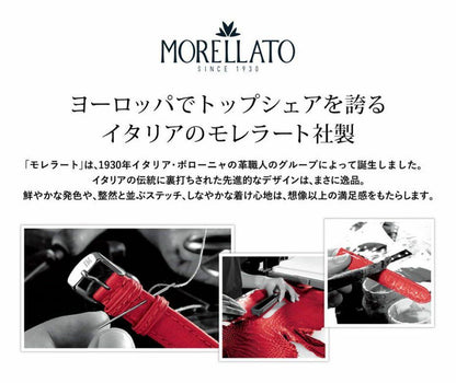 Orient Salmon Pure Leather Strap + Morellato Rubber Strap