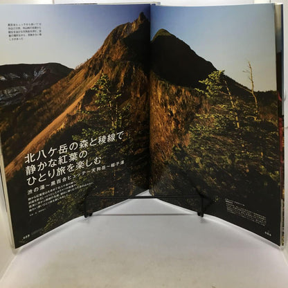 A Must-See Autumn Route Guide