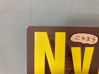 NyAERA Feline Special 2016-2022