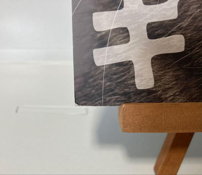 NyAERA Feline Special 2016-2022