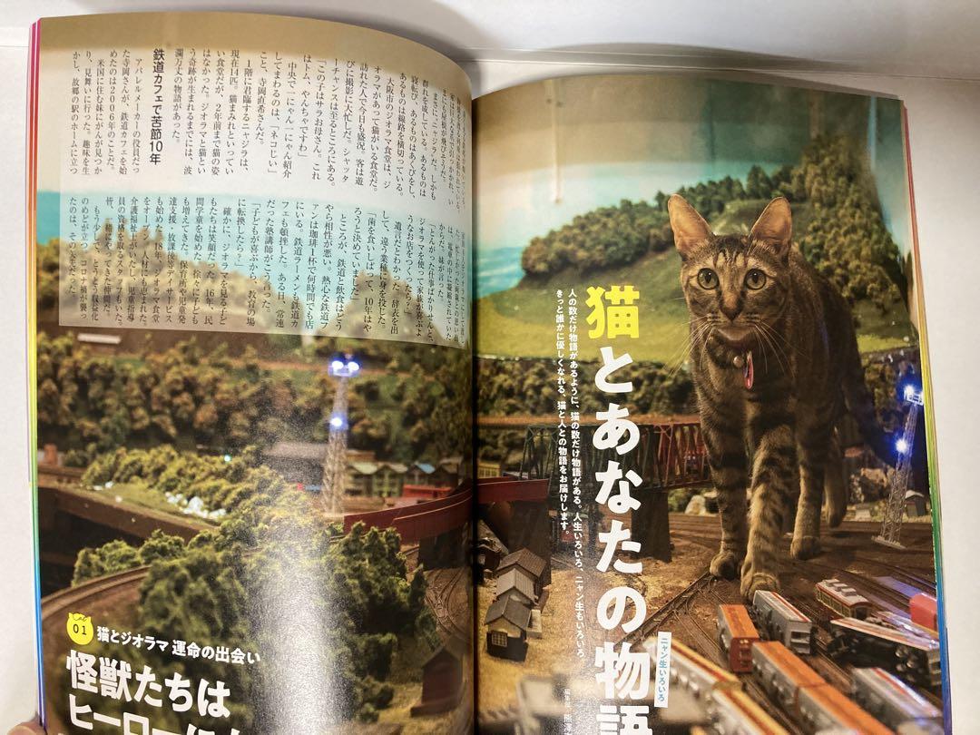 NyAERA Feline Special 2016-2022