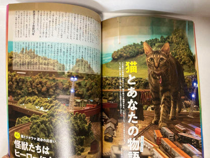 NyAERA Feline Special 2016-2022