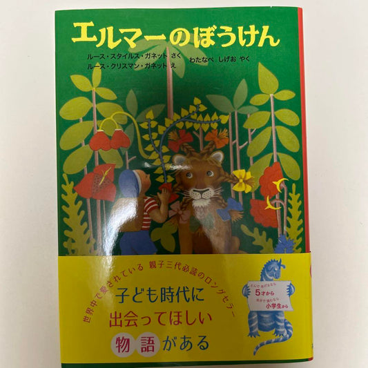 Berenstain Bears' Big Birthday Party