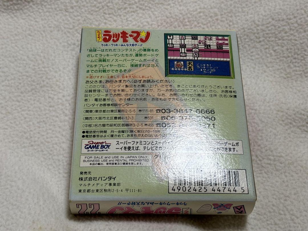 Lucky Man Game Boy Software