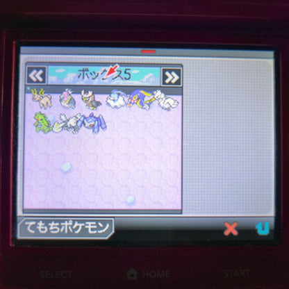 Pokémon Black