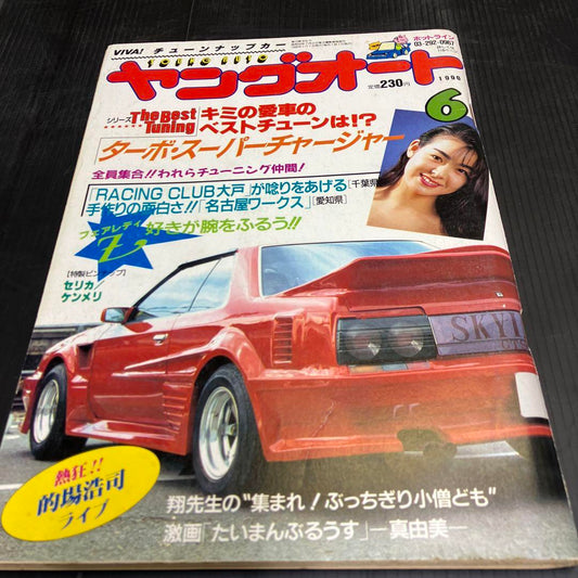 Young Auto June 1999 New Purchase Personal Storage