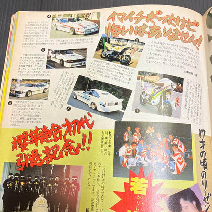 Young Auto June 1999 New Purchase Personal Storage