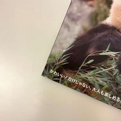 [Sticker Included] BRUTUS March 2023 Animal Park Special