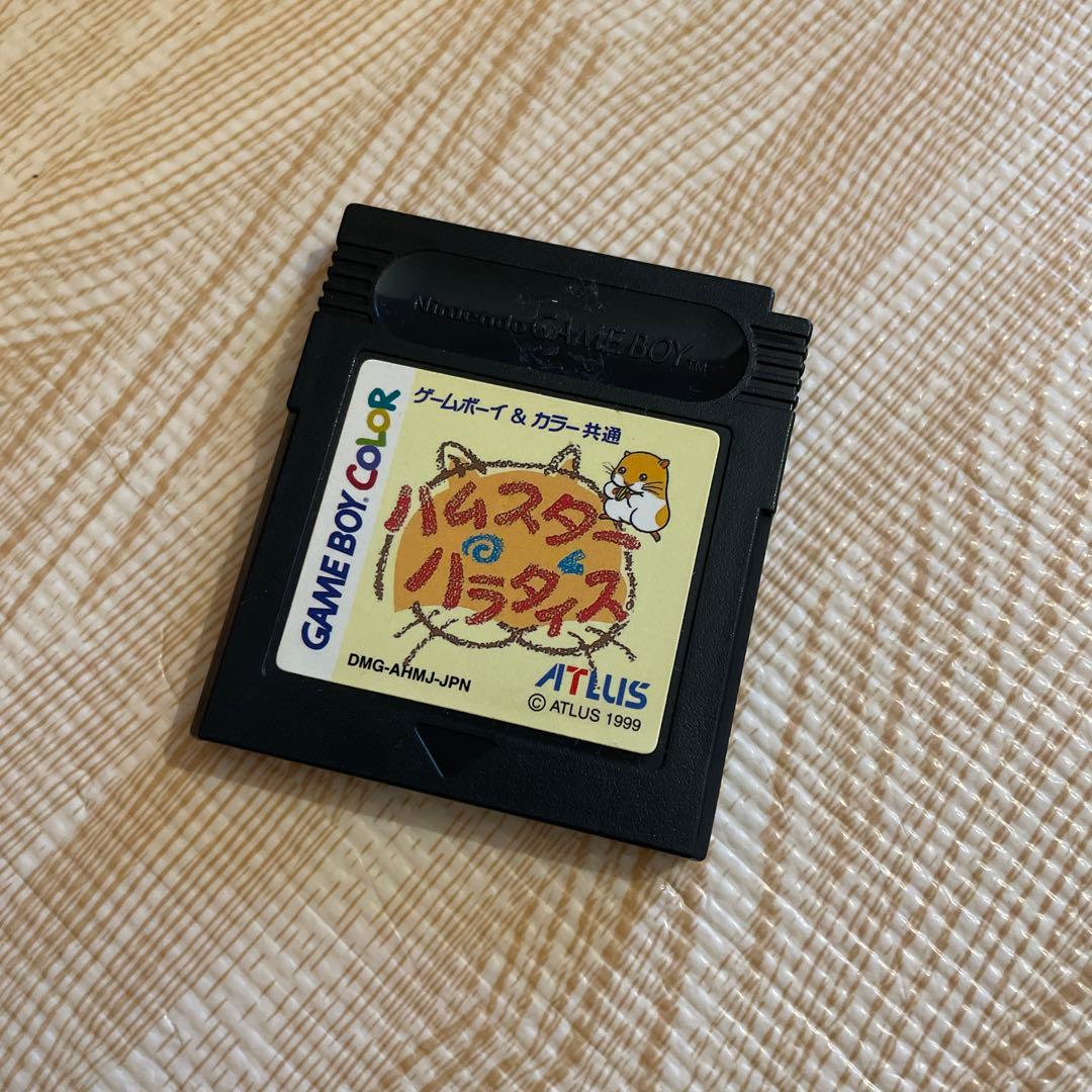 Game Boy & Color Hamtaro Paradise