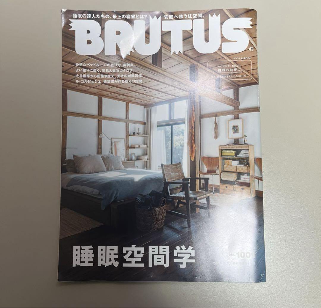 BRUTUS 1001 Sleep Space Study