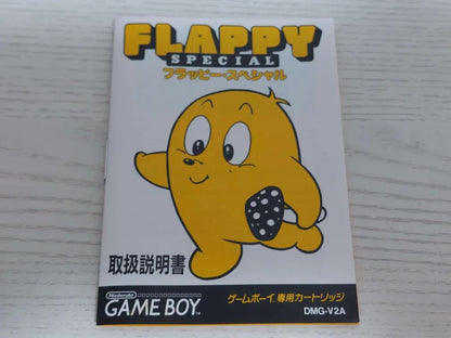 Box Nintendo Game Boy Flipper Special with Manual
