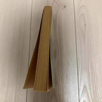 The Boxcar Children Yellow House Mystery