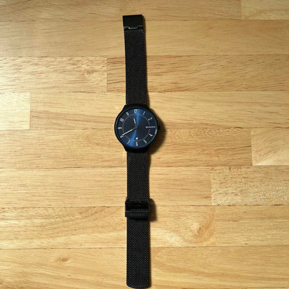 SKAGEN Watch
