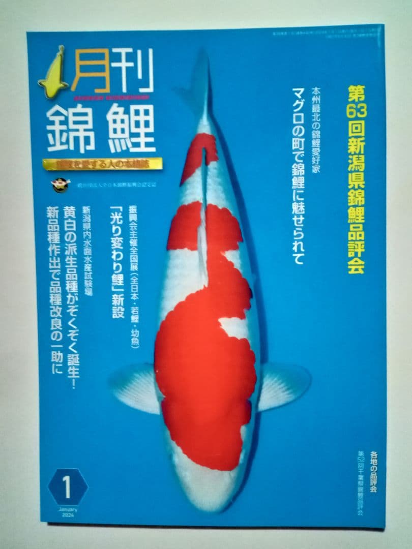 Monthly Koi 2024 January Issue No.440