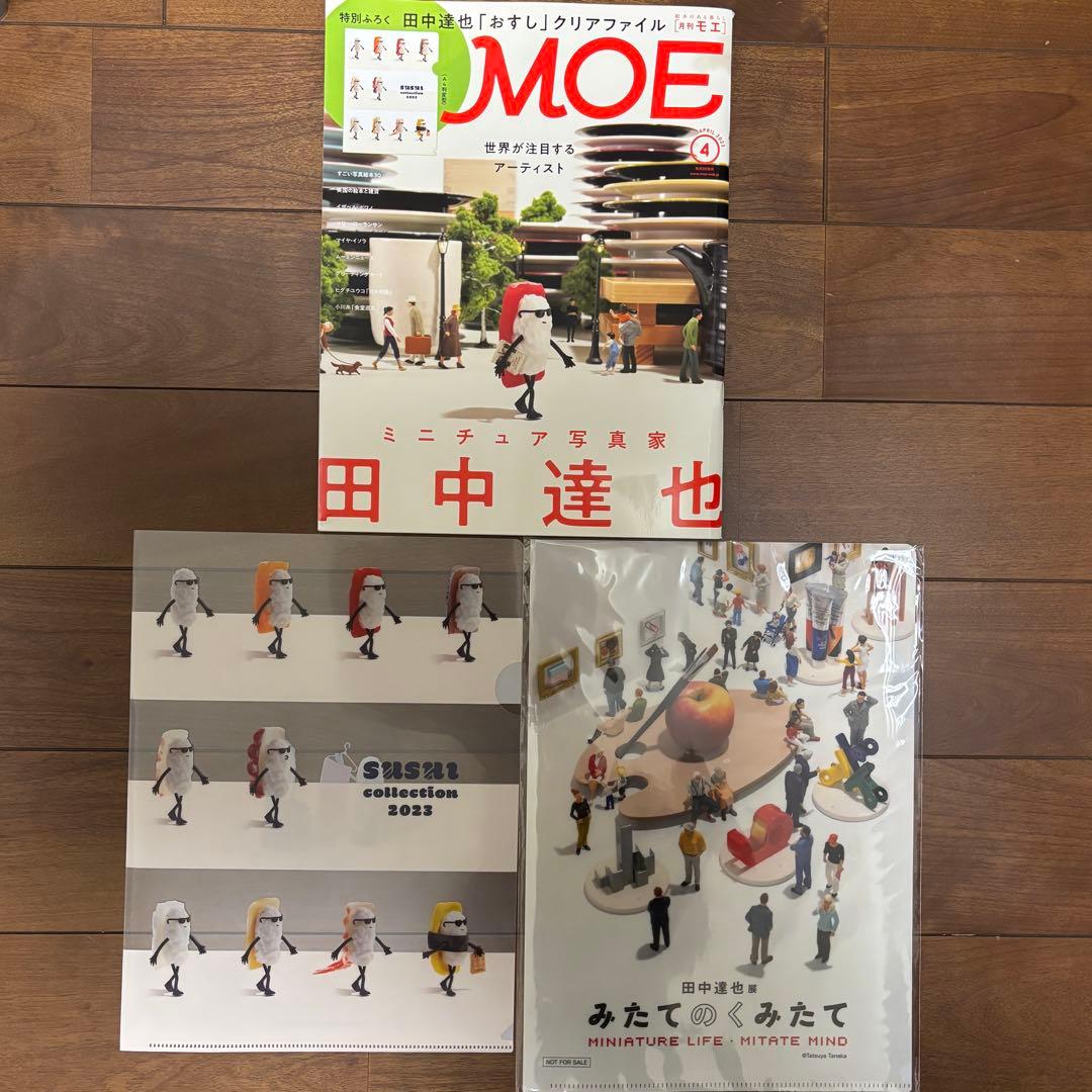 Moe Tanaka Tatsuya Special Issue 2023 Clear File Included