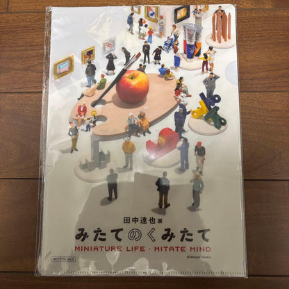 Moe Tanaka Tatsuya Special Issue 2023 Clear File Included