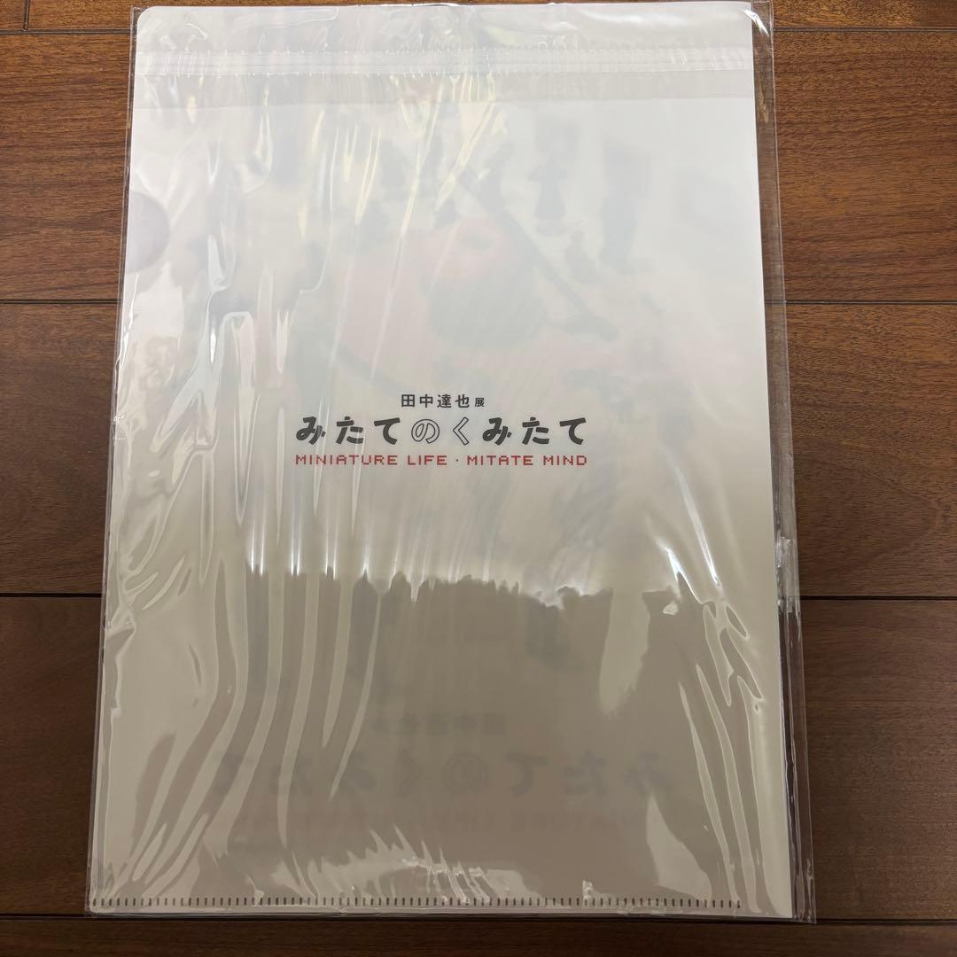 Moe Tanaka Tatsuya Special Issue 2023 Clear File Included