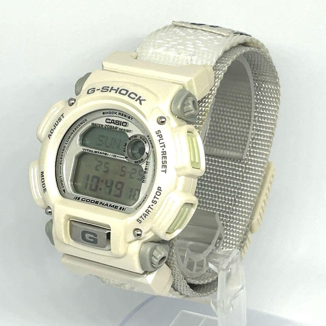 [Operational & Limited Edition] CASIO G-SHOCK ALASKA DW-8800