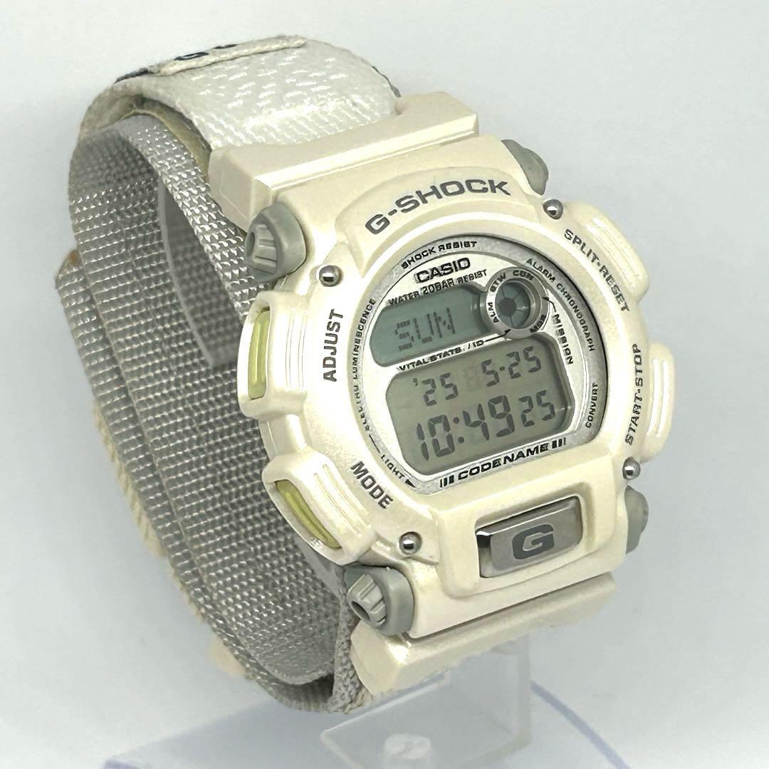 [Operational & Limited Edition] CASIO G-SHOCK ALASKA DW-8800