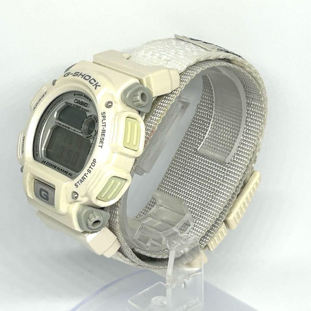 [Operational & Limited Edition] CASIO G-SHOCK ALASKA DW-8800