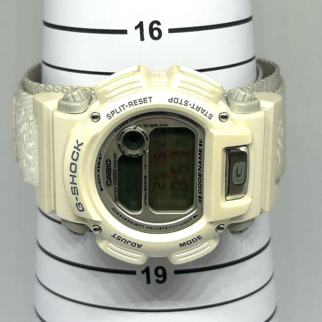 [Operational & Limited Edition] CASIO G-SHOCK ALASKA DW-8800