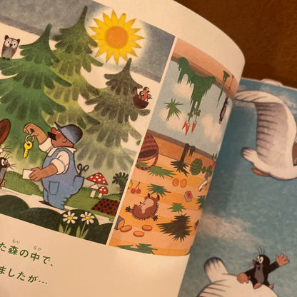 Mole Mole Children's Picture Book Krtek