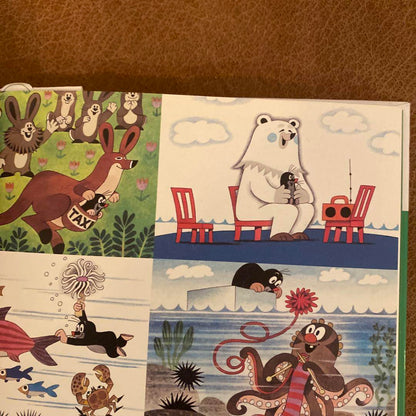 Mole Mole Children's Picture Book Krtek