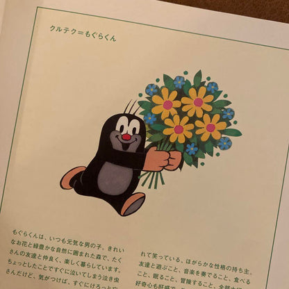 Mole Mole Children's Picture Book Krtek