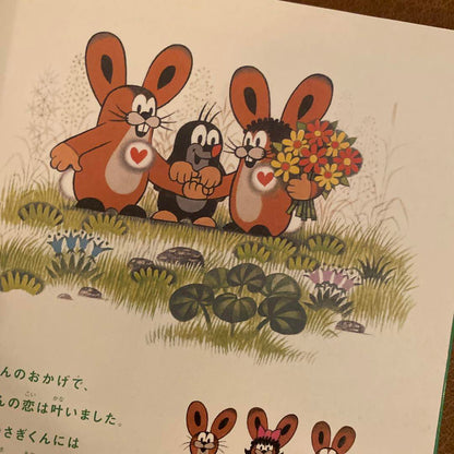 Mole Mole Children's Picture Book Krtek