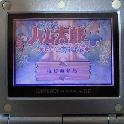 Totoko Hamtaro 3, 4 Set