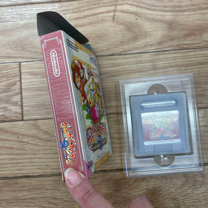 Game Boy Gallery 2