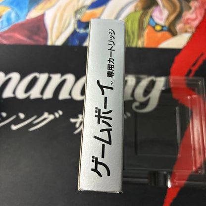 Saga3 Master of Time Complete Edition Game Boy