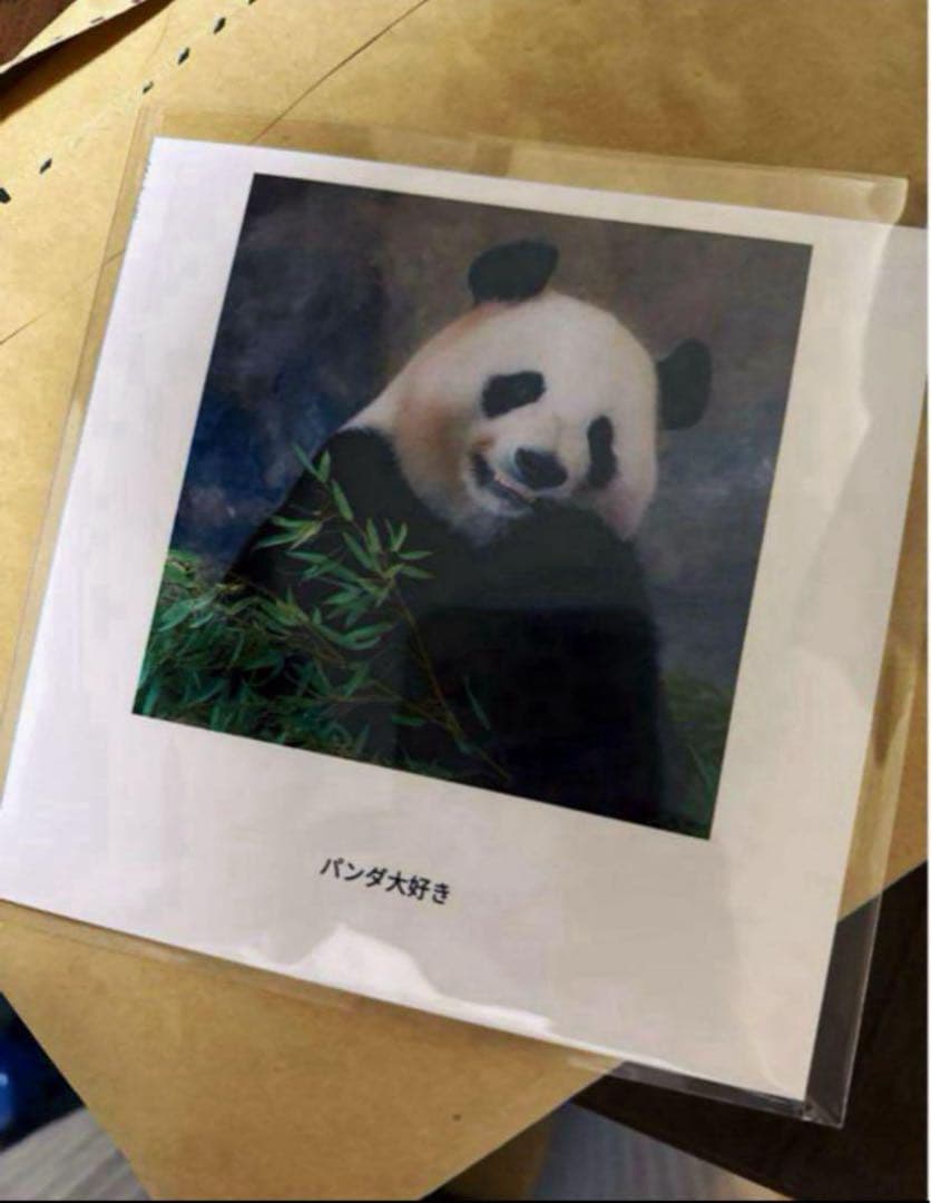 Panda Photo Album