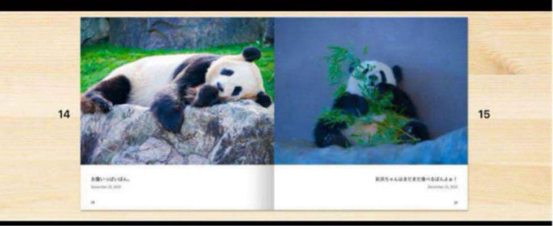 Panda Photo Album