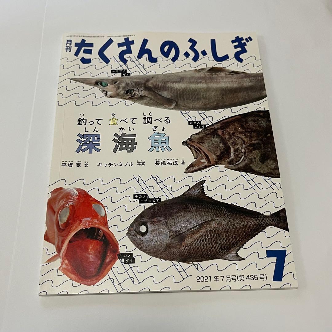 Many Wonders 2021 July Deep Sea Fish