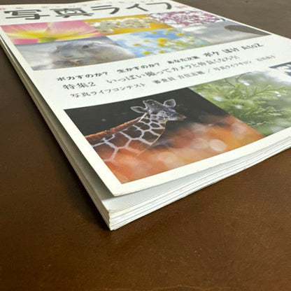 Photo Life Spring 2014 Issue