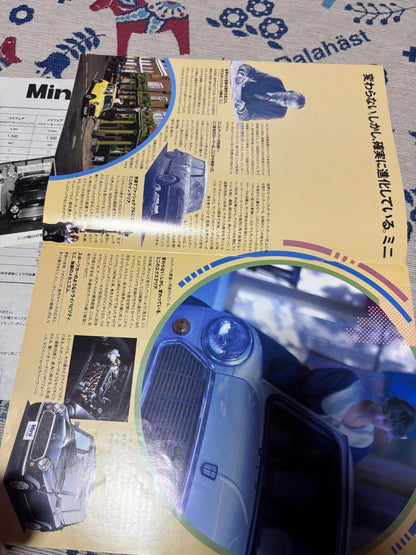 30th Anniversary Special Issue