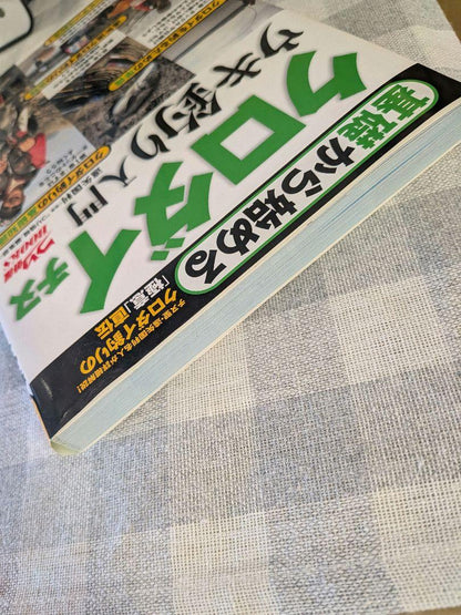 A Beginner's Guide to Chum Salmon Fishing