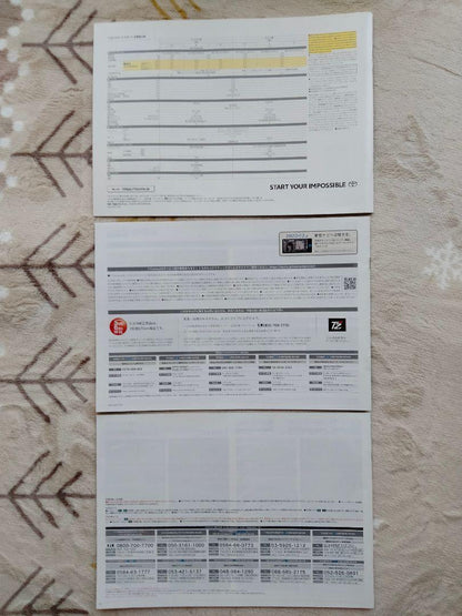 Toyota Carola Sports Catalog