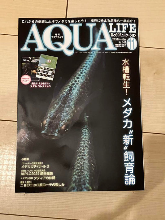 Monthly Aqua Life November 2024